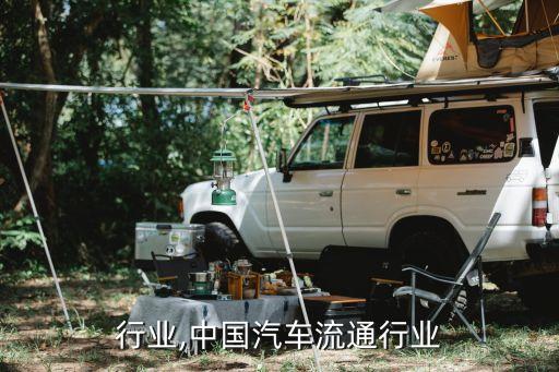 行业,中国汽车流通行业