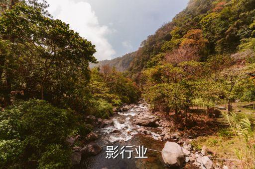 影行业