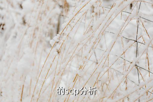 行业的scp分析