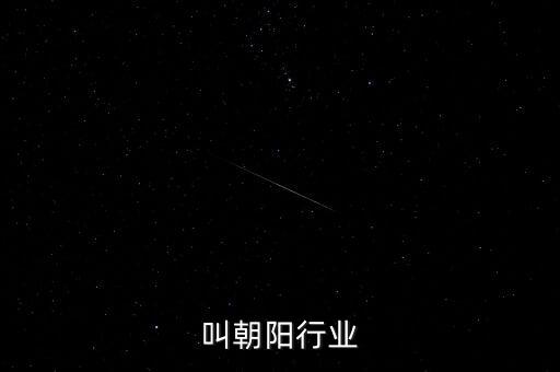 叫朝阳行业