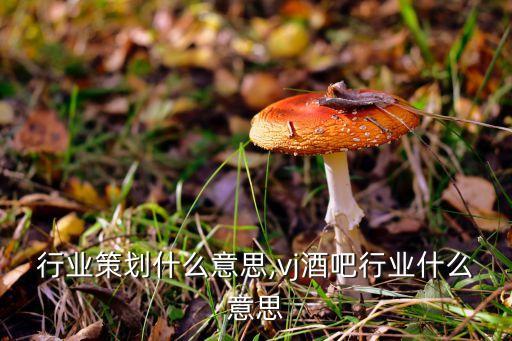 酒吧行业策划什么意思,vj酒吧行业什么意思