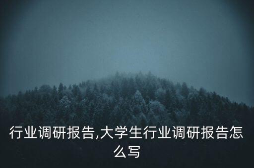 行业调研报告,大学生行业调研报告怎么写