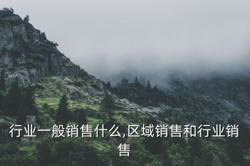 行业一般销售什么,区域销售和行业销售