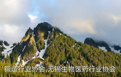锻造行业协会,无锡生物医药行业协会