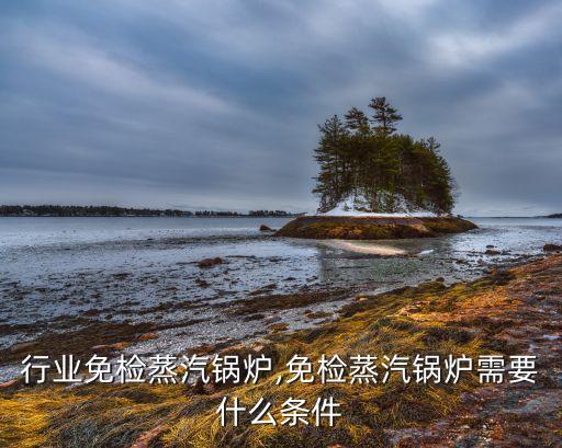 行业免检蒸汽锅炉,免检蒸汽锅炉需要什么条件