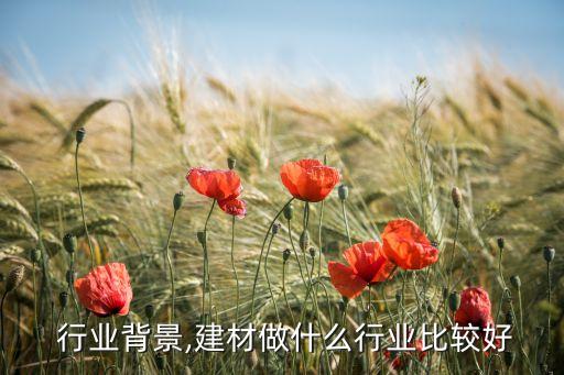  行业背景,建材做什么行业比较好
