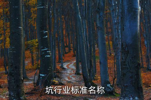 坑行业标准名称