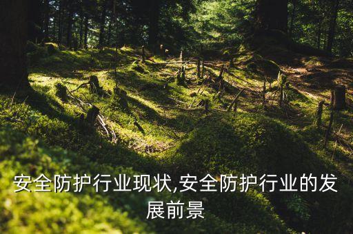 安全防护行业现状,安全防护行业的发展前景
