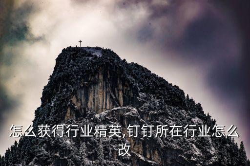 钉钉怎么获得行业精英,钉钉所在行业怎么改