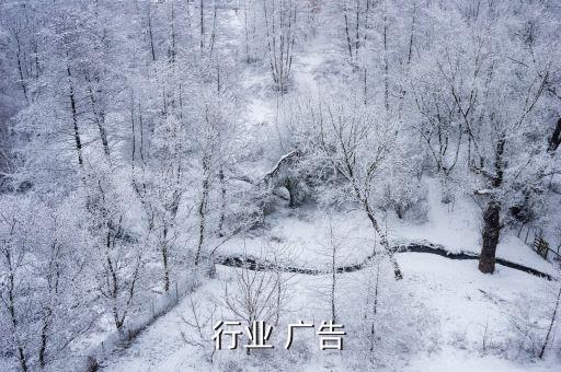 行业 广告