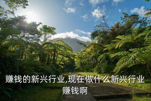 成都赚钱的新兴行业,现在做什么新兴行业赚钱啊