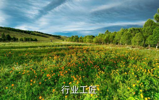 行业工匠