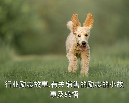 销售行业励志故事,有关销售的励志的小故事及感悟