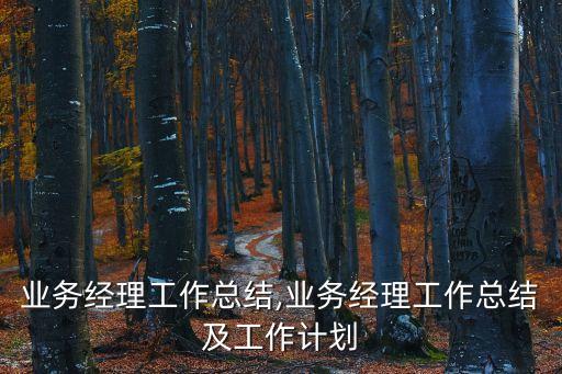 银行业务经理工作总结,业务经理工作总结及工作计划