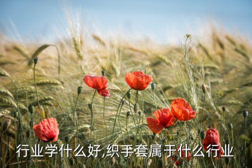 行业学什么好,织手套属于什么行业