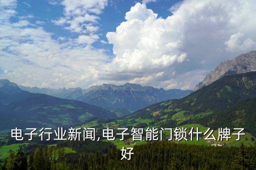 电子行业新闻,电子智能门锁什么牌子好