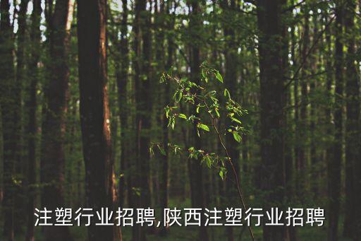 江苏注塑行业招聘,陕西注塑行业招聘