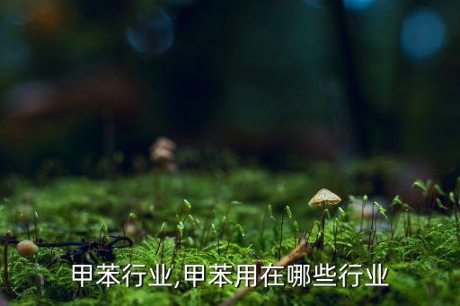 甲苯行业,甲苯用在哪些行业