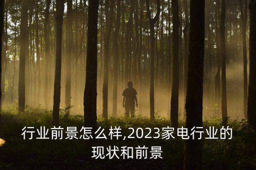 家电行业前景怎么样?,2023家电行业的现状和前景