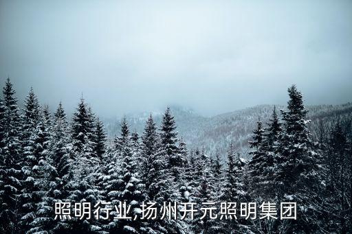 照明行业,扬州开元照明集团