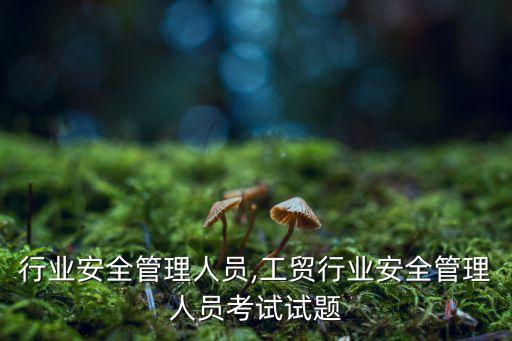 行业安全管理人员,工贸行业安全管理人员考试试题