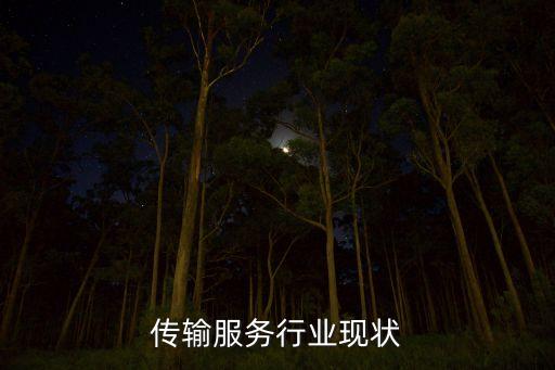 传输服务行业现状