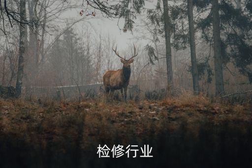 电力检修行业