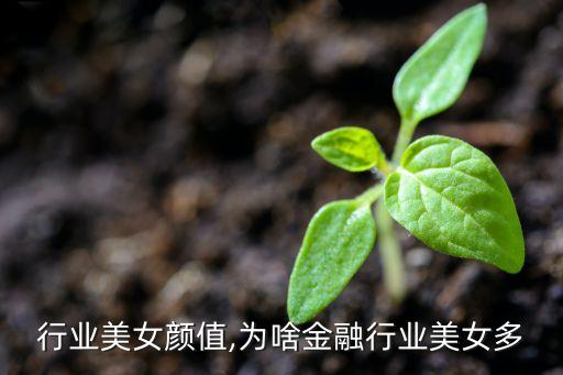 行业美女颜值,为啥金融行业美女多