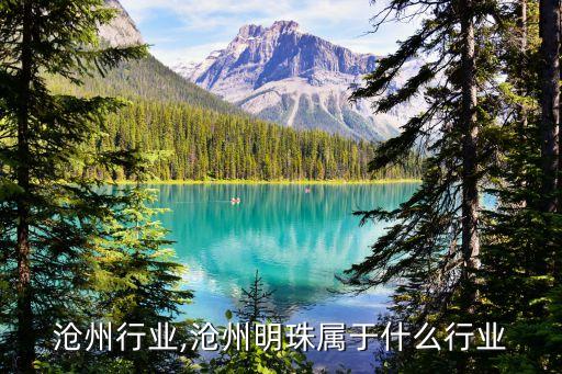 沧州行业,沧州明珠属于什么行业