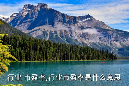 酿酒行业 市盈率,行业市盈率是什么意思