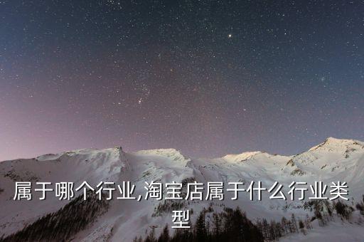 淘宝属于哪个行业,淘宝店属于什么行业类型