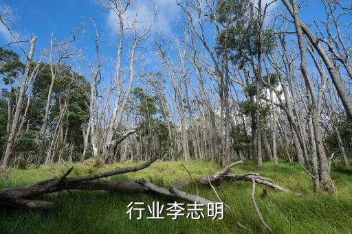 医药行业李志明