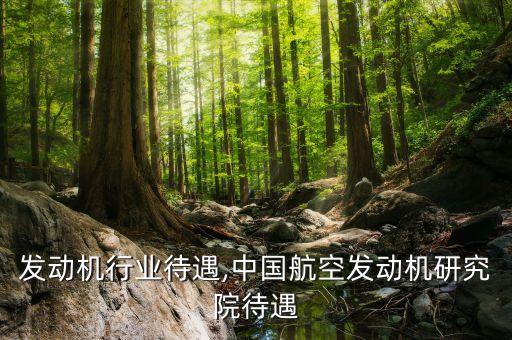 航空发动机行业待遇,中国航空发动机研究院待遇