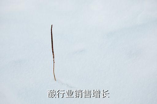 氨基酸行业销售增长