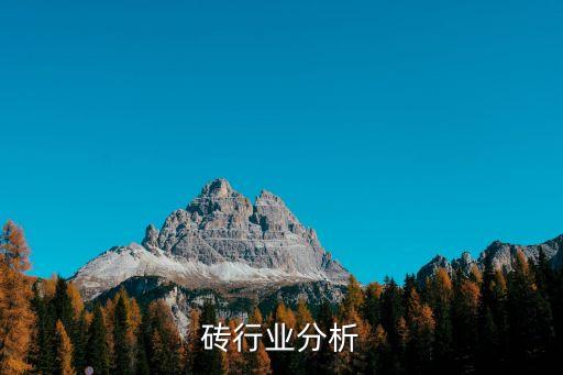 陶瓷砖行业分析