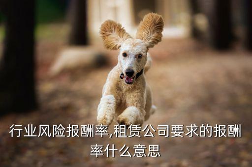 租赁行业风险报酬率,租赁公司要求的报酬率什么意思