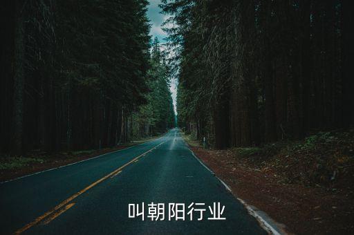 叫朝阳行业