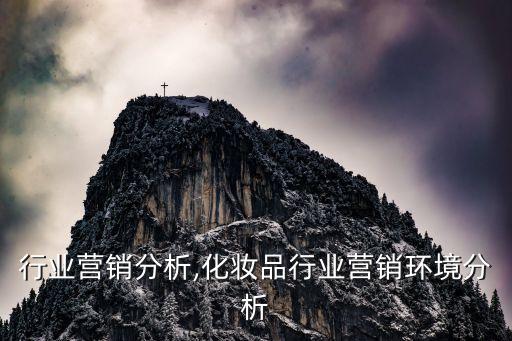 行业营销分析,化妆品行业营销环境分析