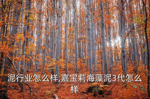 泥行业怎么样,嘉宝莉海藻泥3代怎么样