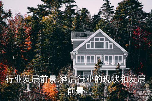 行业发展前景,酒店行业的现状和发展前景