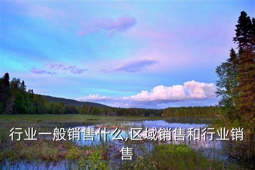 行业一般销售什么,区域销售和行业销售