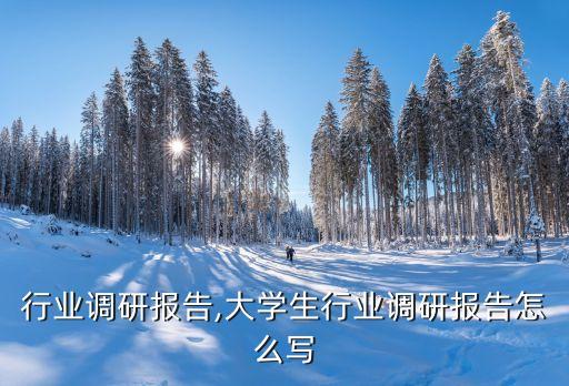 塔吊行业调研报告,大学生行业调研报告怎么写