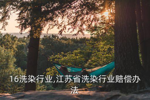 16洗染行业,江苏省洗染行业赔偿办法
