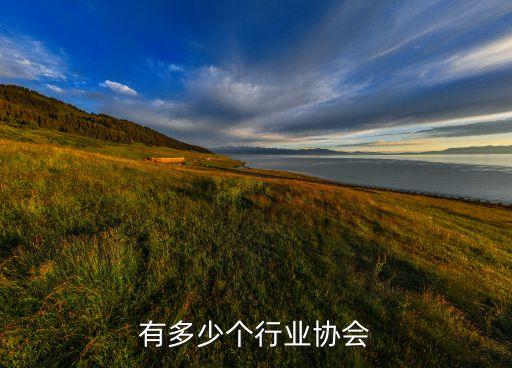 上海有多少个行业协会