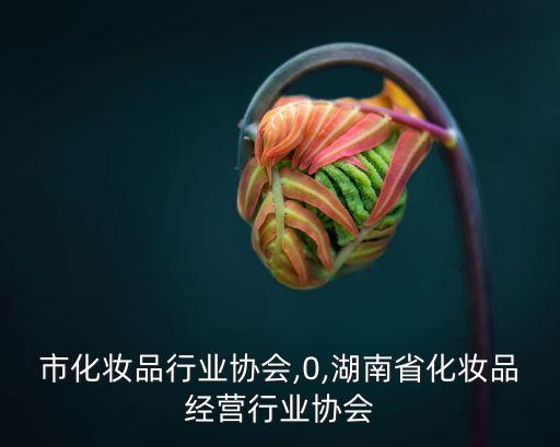 佛山市化妆品行业协会,0,湖南省化妆品经营行业协会