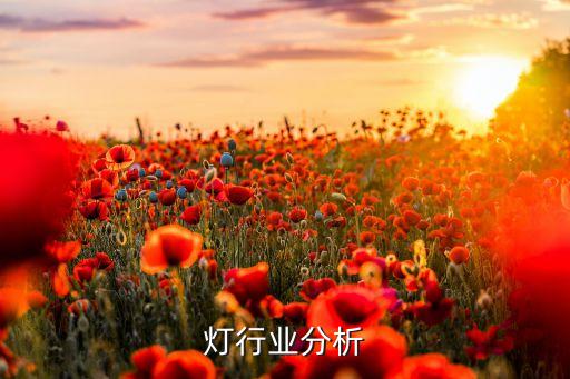 舞台灯行业分析