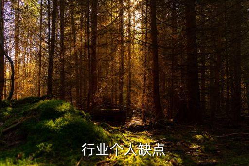 行业个人缺点