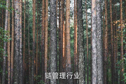 链管理行业