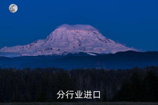 工业分行业进口