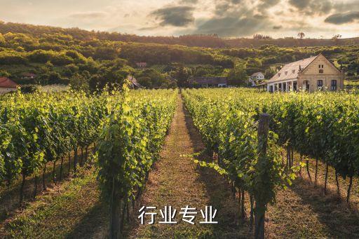 食品行业专业